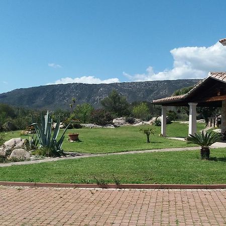 Bed and Breakfast Settimo Cielo Сан-Теодоро Экстерьер фото