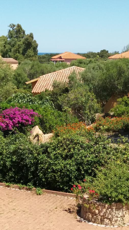 Bed and Breakfast Settimo Cielo Сан-Теодоро Экстерьер фото